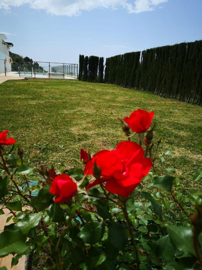 Ferienwohnung Dana II Eurogolf, Vistas, Wifi, Piscina Y Parking Benalmádena Exterior foto